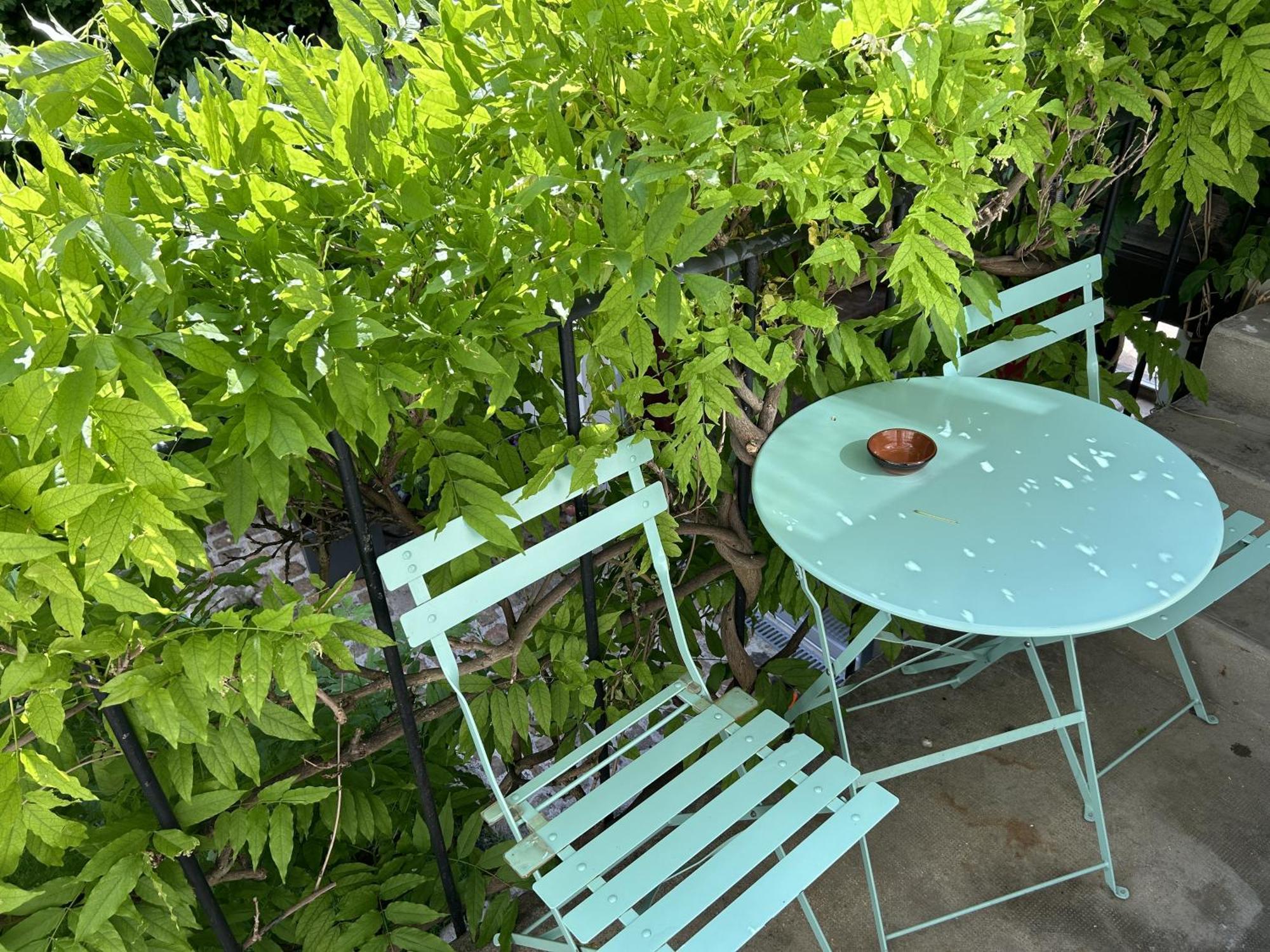 Le Clos Saint Nizier Troyes - Cathedrale- Parking - Wifi Bagian luar foto